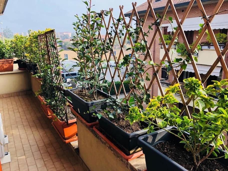 Ketty House B&B - Policlinico Di Monza, U-Power Stadium Экстерьер фото
