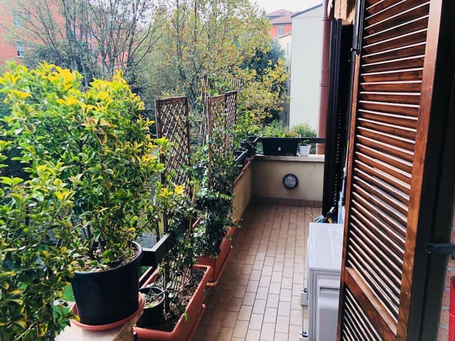 Ketty House B&B - Policlinico Di Monza, U-Power Stadium Экстерьер фото